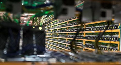 Large-scale mining farm operating multiple cryptocurrencies