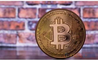 Bitcoin blockchain transactions and mining operations