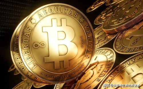 Bitcoin mining farm with ASIC miners